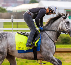 Final Gambit Faces Kentucky Derby Rivals in $400,000 Matt Winn