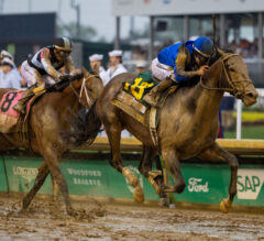 Sovereignty and Journalism Meet Again in Belmont Stakes at Saratoga