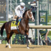 Top Horses to Watch For The Rest of 2025