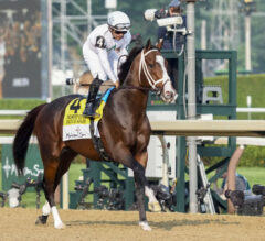 Top Horses to Watch For The Rest of 2025