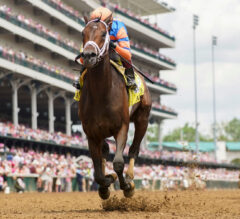 White Abarrio, Fierceness & Raging Torrent Face Off in G1 Met Mile