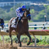 Nysos Cruises in San Diego Handicap 2025, Targets Pacific Classic Next