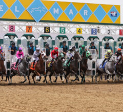 Del Mar Preview & FREE Pick 5 Bets | The Magic Mike Show 598