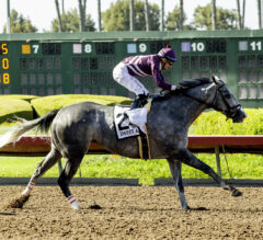 How to Interpret Horse Racing Odds: A Complete Guide for Smarter Betting