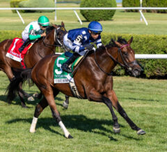 Test Score Wins Belmont Derby in Breakthrough Performance