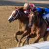 Phileas Fogg Wires Suburban for First Graded Stakes Win