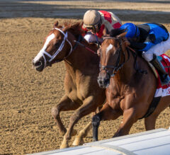 Phileas Fogg Wires Suburban for First Graded Stakes Win