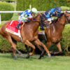 Weekend Recap | Excellent Truth Lives Up to Her Name in Diana Stakes