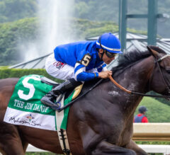 Sovereignty Wins 2025 Jim Dandy at Saratoga, Eyes Travers Next