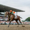 Weekend Recap | Journalism All Heart in Haskell Triumph