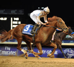 Biggest Underdogs To Win the Breeders’ Cup Classic