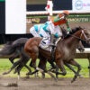 Journalism Wins 2025 Haskell Stakes, Punches Ticket to Breeders’ Cup