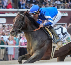 Saratoga Jim Dandy Stakes 2025 Betting Preview | Sovereignty Leads Star-Studded Field