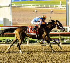 Breeders’ Cup Classic Contenders: Sierra Leone, Fierceness, and Forever Young