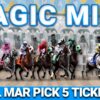 Del Mar Preview & FREE Pacific Classic Pick 5 Bets | The Magic Mike Show 602