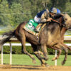 Weekend Recap | Sierra Leone Wows them in Whitney Stakes