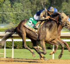 Weekend Recap | Sierra Leone Wows Them in Whitney Stakes