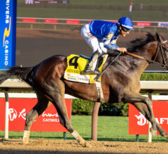 Breeders’ Cup 2025 Latest News & Update | Major Preps Set for this Weekend
