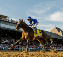 Bet Smarter Every Day with Racing Dudes Premium Picks & Best Bets