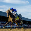 Weekend Recap | Sovereignty Dominates Travers Stakes
