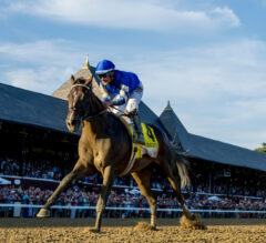Weekend Recap | Sovereignty Dominates Travers Stakes