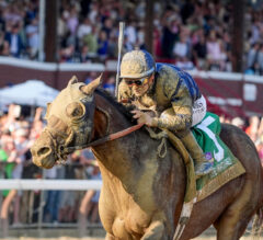 Sierra Leone vs. Mindframe: Don’t Miss Expert Picks for the Jockey Club Gold Cup