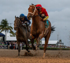 Tappan Street Steals the Show, Politics Stir the Pot in Florida Racing