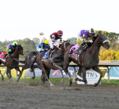 Parx Racing’s Dirt Mile and Two Turns Create a Stamina Test That Separates True Classic Types
