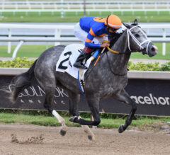 Haulin Ice Dominates Princess Rooney, Punches Ticket to Breeders’ Cup