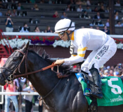 Champagne Stakes 2025 Picks and Preview | It’s Our Time is Back