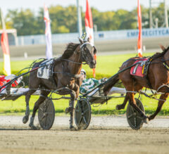 Harness Racing Spotlight: Lexus Kody’s International Triumph & The Trotting Scene’s Next Big Stars