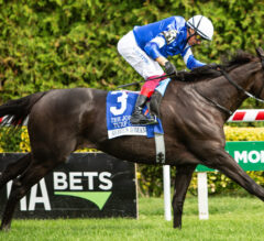 Breeders’ Cup 2025 Latest News & Update | Rebel’s Romance Dominates Breeders’ Cup Prep Race