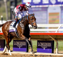 Who Are the Favorites to Win the Breeders’ Cup’s Most Prestigious Races in 2025?