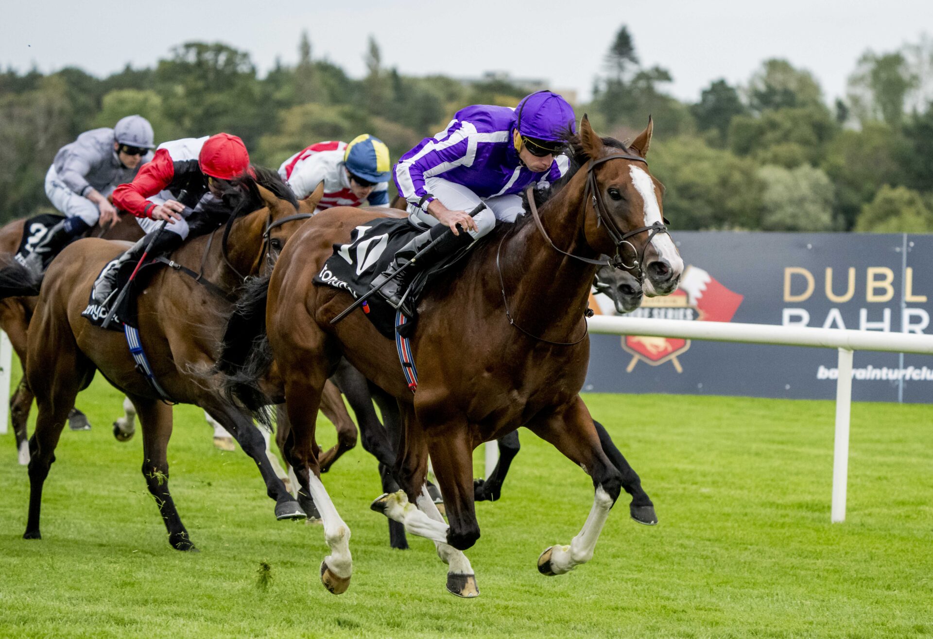 Coolmore Turf Mile Stakes 2025 Picks and Preview | Diego Velazquez