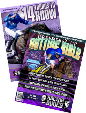 Breeders’ Cup 2025 Betting Bible