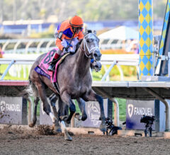 Ted Noffey Fends Off Brant, Captures Breeders’ Cup Juvenile at Del Mar