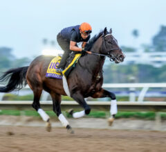 2025 Breeders’ Cup Classic: Sovereignty Headlines Deep Field in the $7 Million Showdown at Del Mar