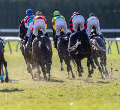 How To Effectively Sharpen Your Edge In Horse Racing Betting