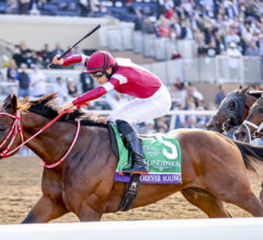 Breeders’ Cup 2025 Top 6 Performances