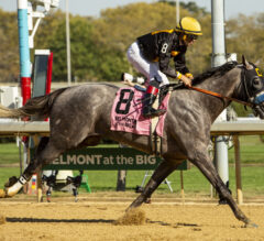 Kentucky Derby 2026 Latest News & Top 5 | Stars of Tomorrow Card Highlights Big Weekend