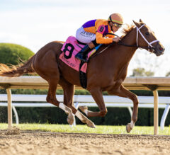 Kentucky Jockey Club Stakes 2025 Picks and Preview | Kentucky Derby Prep Race