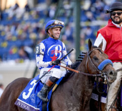 Breeders’ Cup 2025 Recap: The Betting Prospective