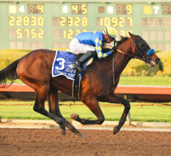 Kentucky Derby 2026 Latest News & Top 5 | Litmus Test Impresses in Los Alamitos Futurity