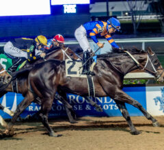 Lecomte Stakes 2026 Picks and Preview | Kentucky Derby Prep Race