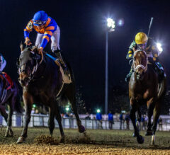 Kentucky Derby 2026 Latest News & Top 5 | Action Heats Up in Lecomte Stakes