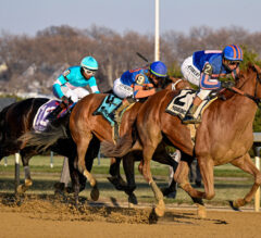 Kentucky Derby 2026 Latest News & Top 5 | Paladin Strong in Remsen Stakes