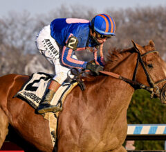 Risen Star Stakes 2026 Picks and Preview | Kentucky Derby Prep Race