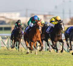 Why Smart Handicappers Test Strategies Before Real Wagers