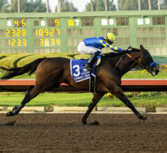 Triple Crown 2026 Racing Dudes Fantasy League Update: Major Preps Highlight Important Weekend