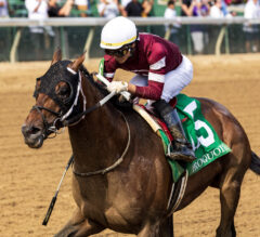 Remington Park Springboard Mile 2025 Picks and Preview | Kentucky Derby Prep Race